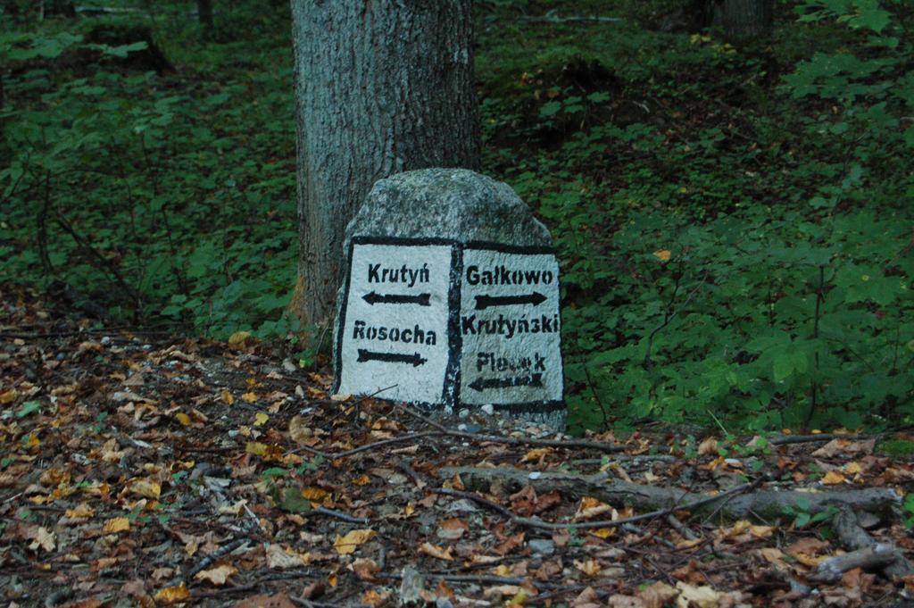 Stara Papiernia Zielony Lasek Krutynski Piecek Kültér fotó